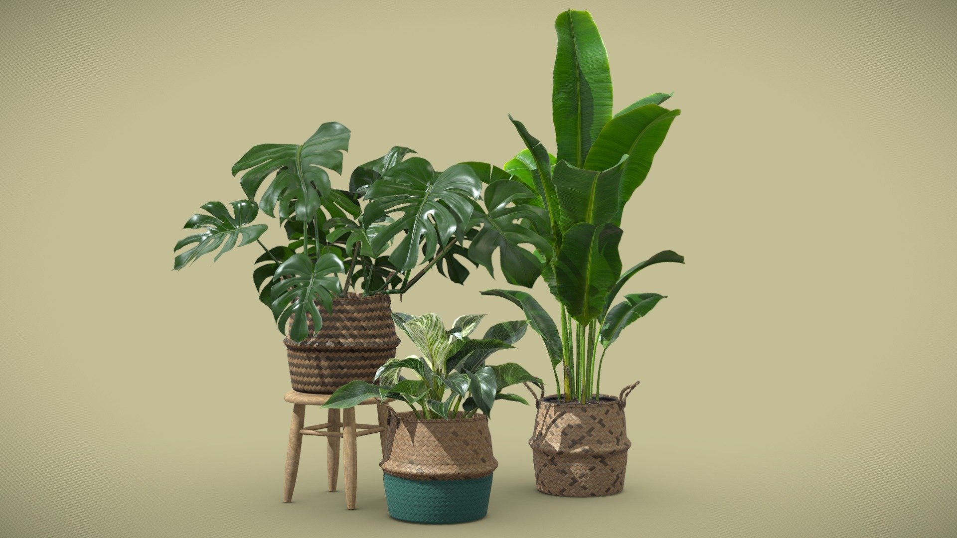 Indoor Plants Pack 16 3d model