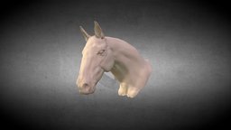 Horse Head sculpt