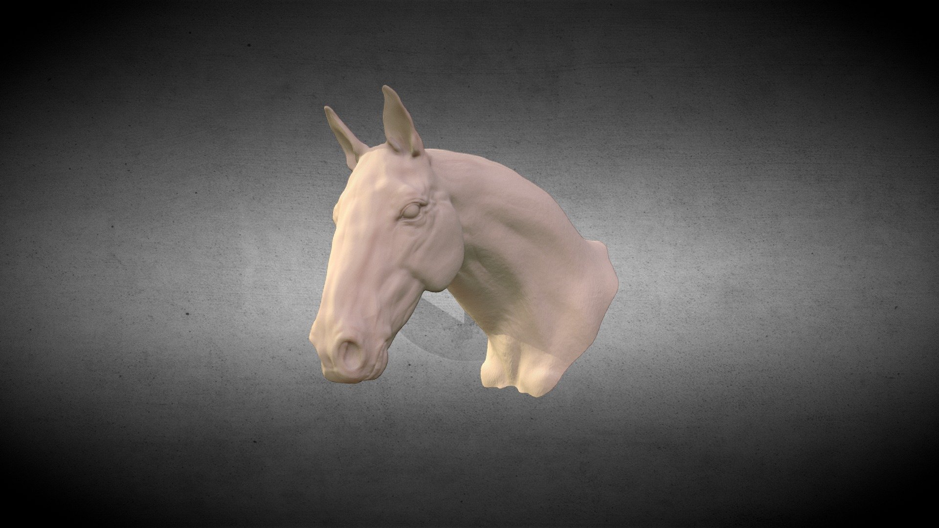 Horse Head sculpt 3d model