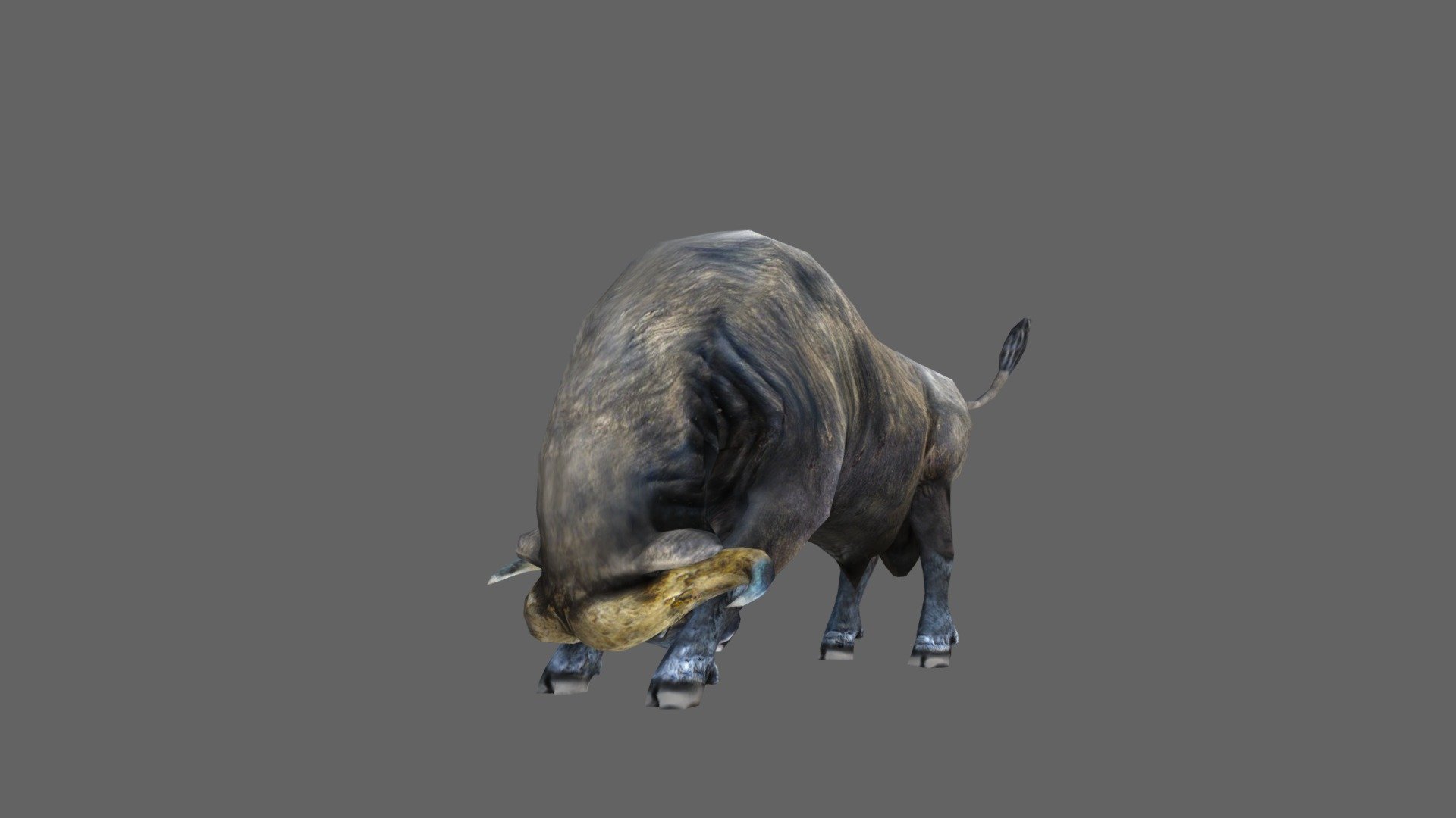 Buffalo 3d model