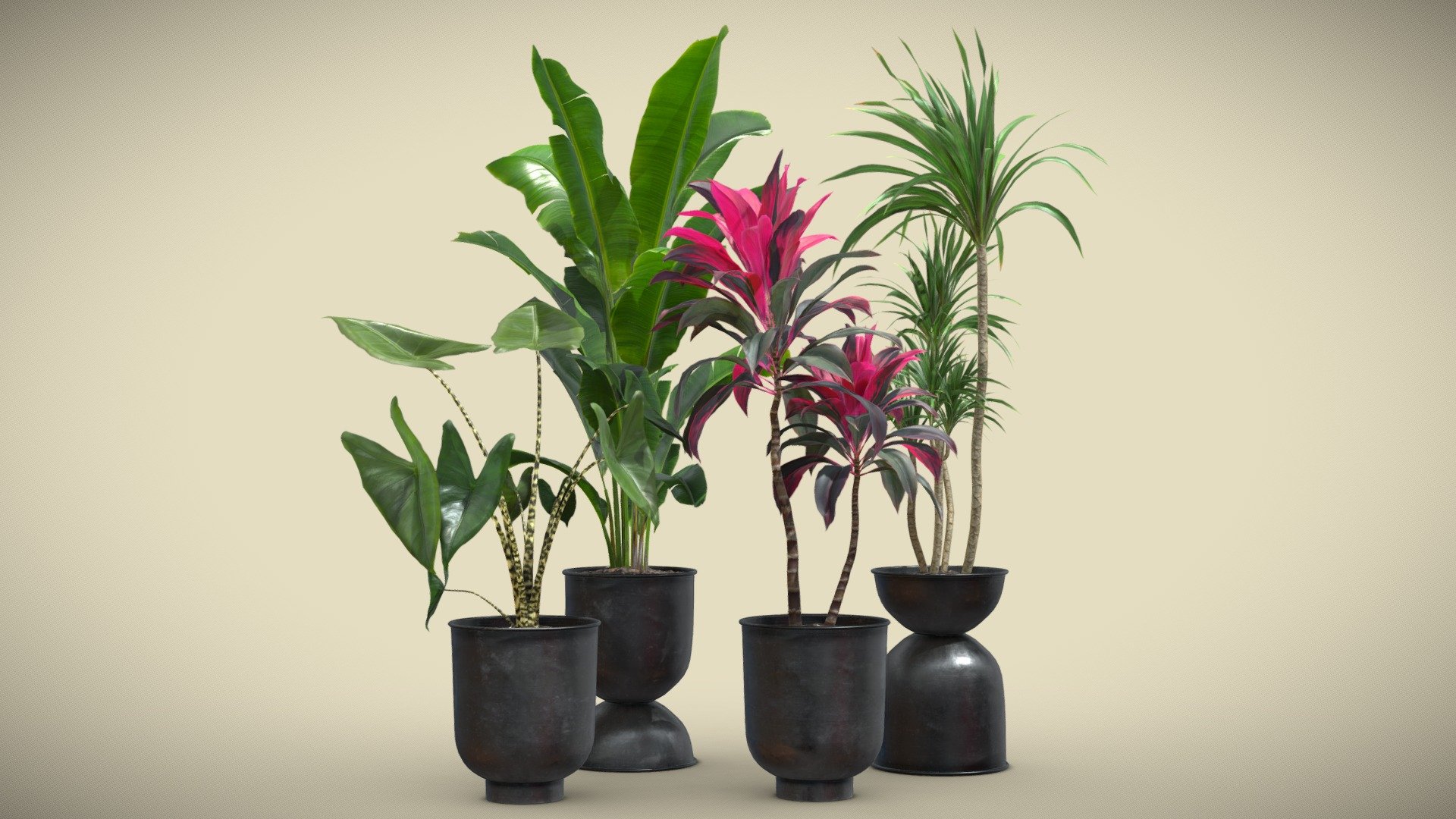 Indoor Plants Pack 40 3d model