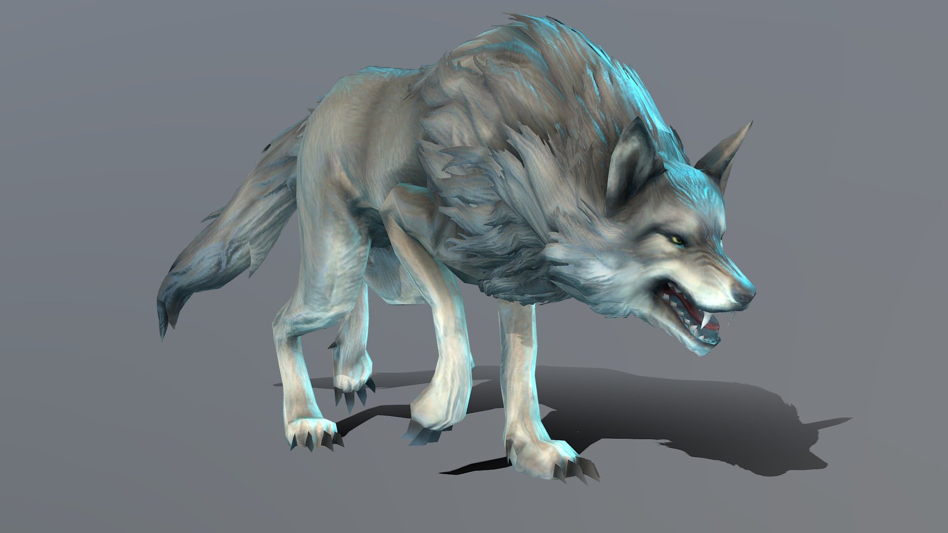 Wolf walk-cycle Animated 3d model