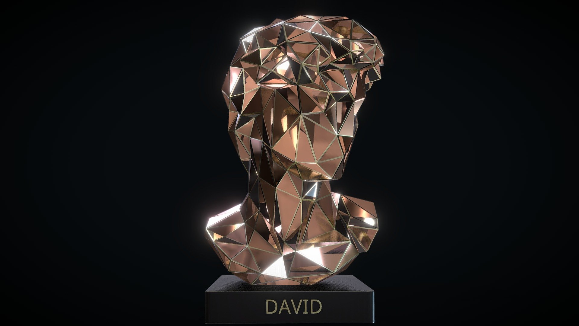 DAVID 3d model