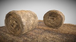 Round Hay Bales