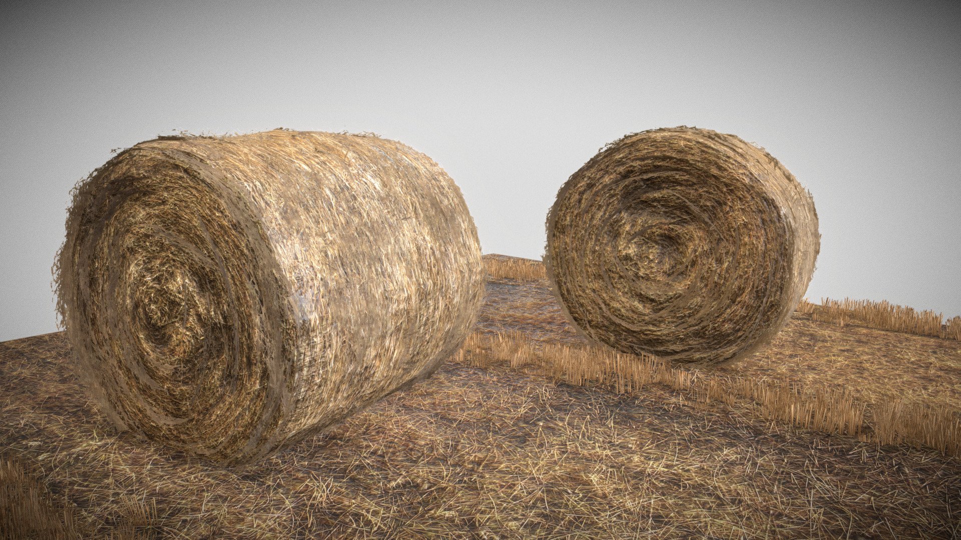 Round Hay Bales 3d model