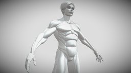 Cartoon Style Male Base Mesh No.1