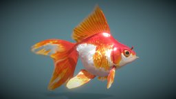 Goldfish_Variety2