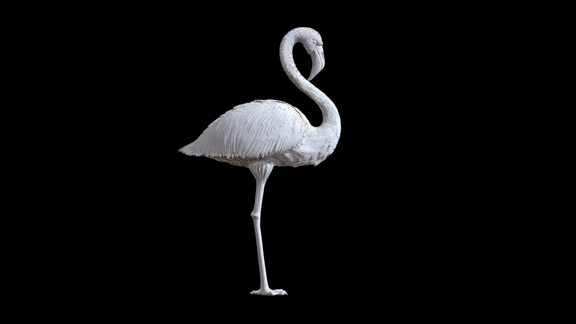 flamingo 3d model