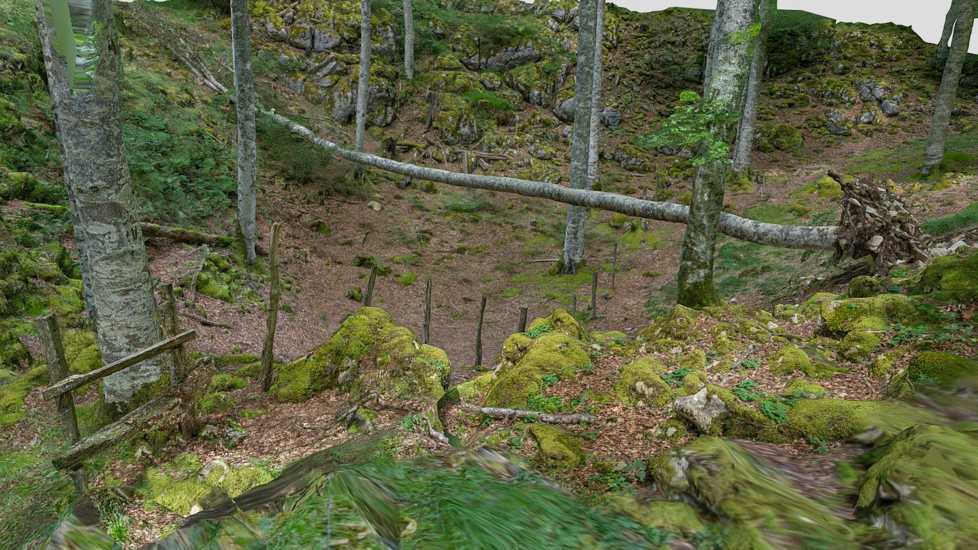 Fallen tree over a fence makes a bridge 3d model