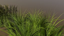 Grass v4