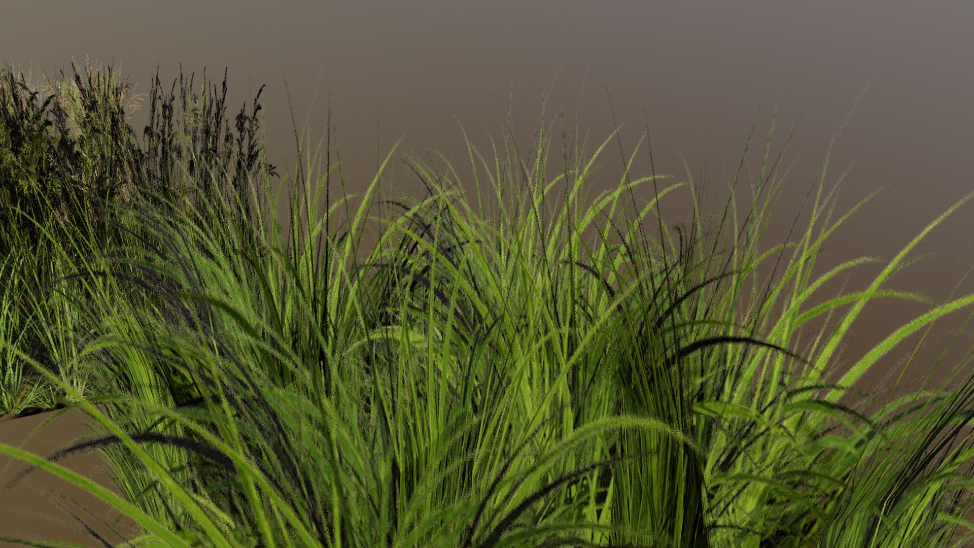 Grass v4 3d model