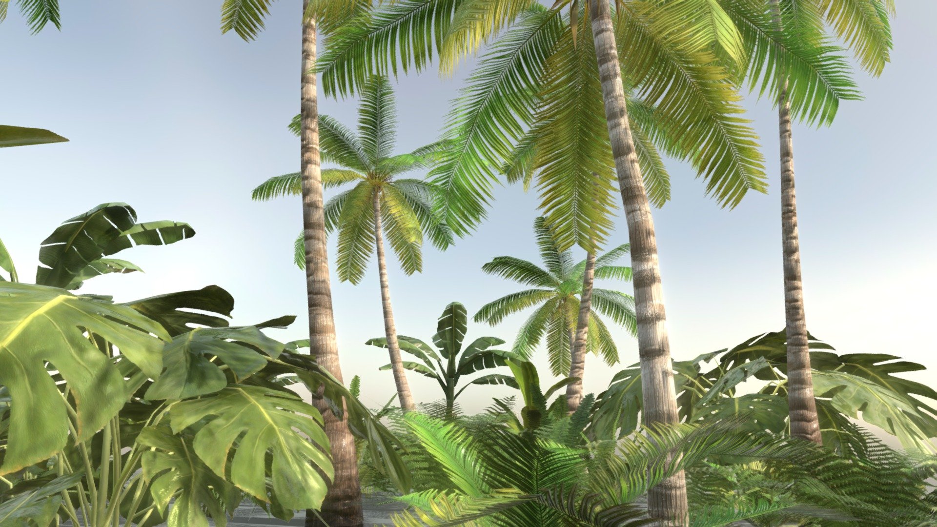 Tropical Vegetation 3d model