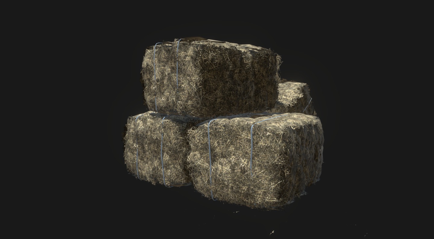 Hay Bale Scene [WIP] 3d model