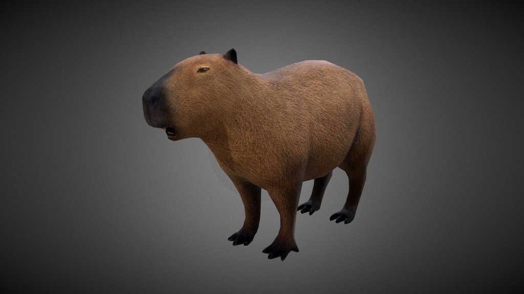 Capibara 3d model