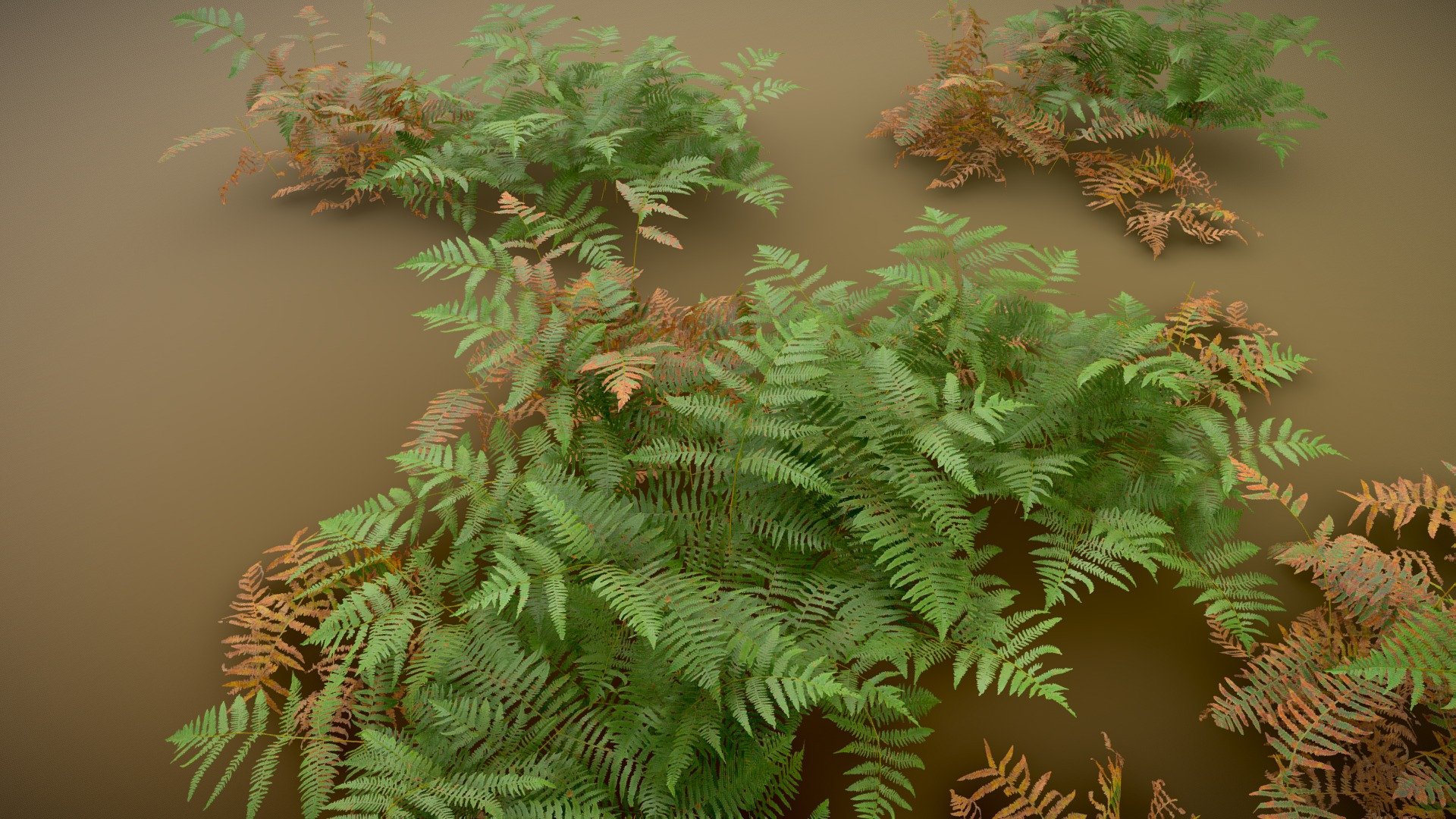 Fern Forest Realistic Collection 3d model