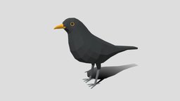 Low Poly Cartoon Blackbird