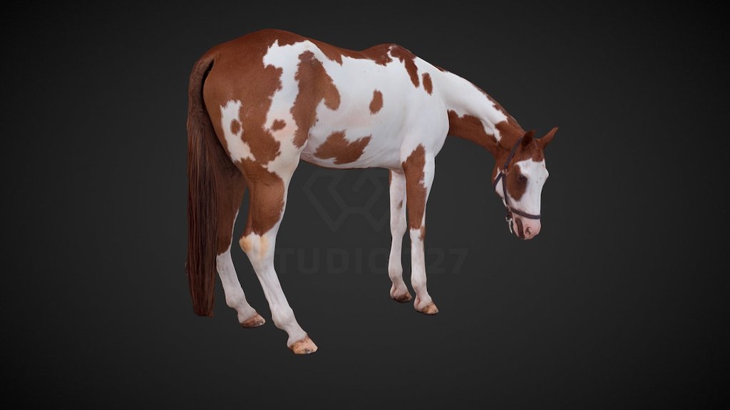 Horse 3d model