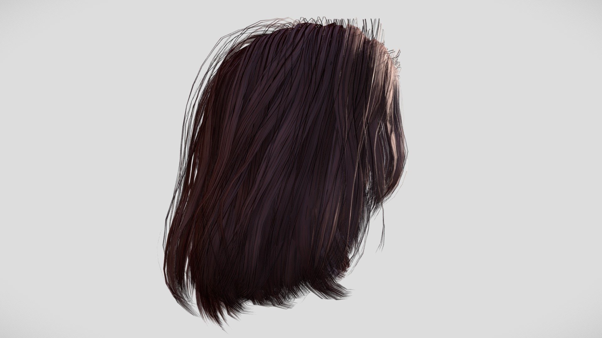 Female Hair 3d model