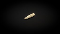 A Maggot Model 3d Game Asset