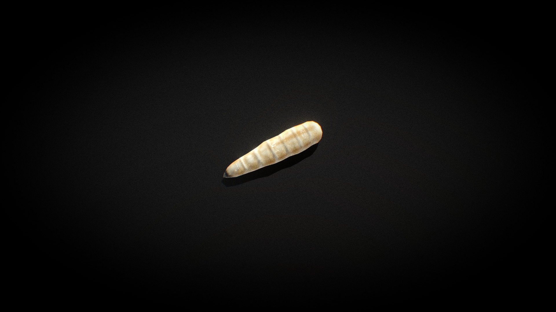 A Maggot Model 3d Game Asset 3d model