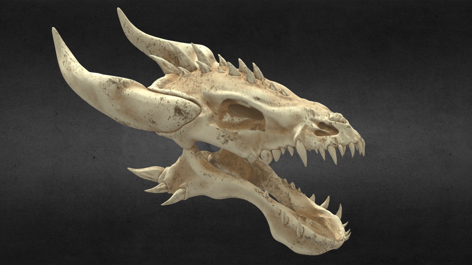 Dragon_Sketch 3d model