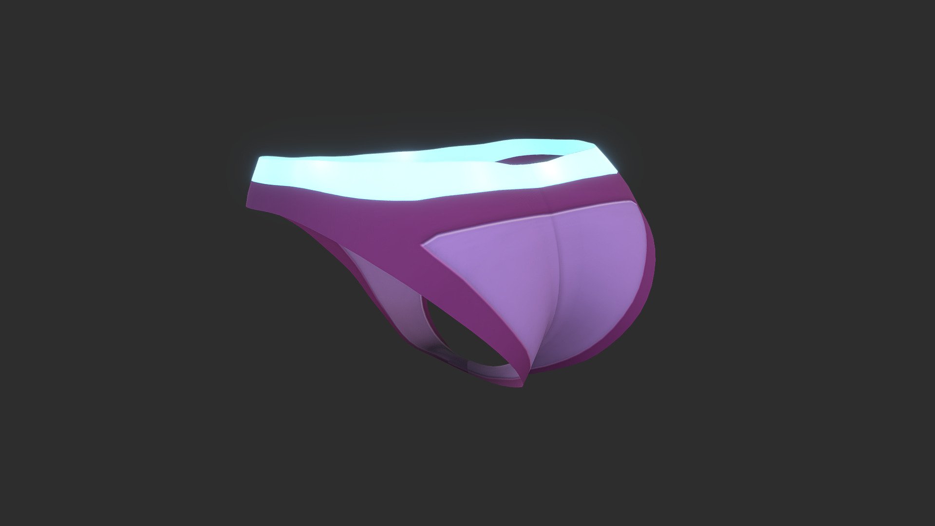 Female Cyber Knickers 3d model