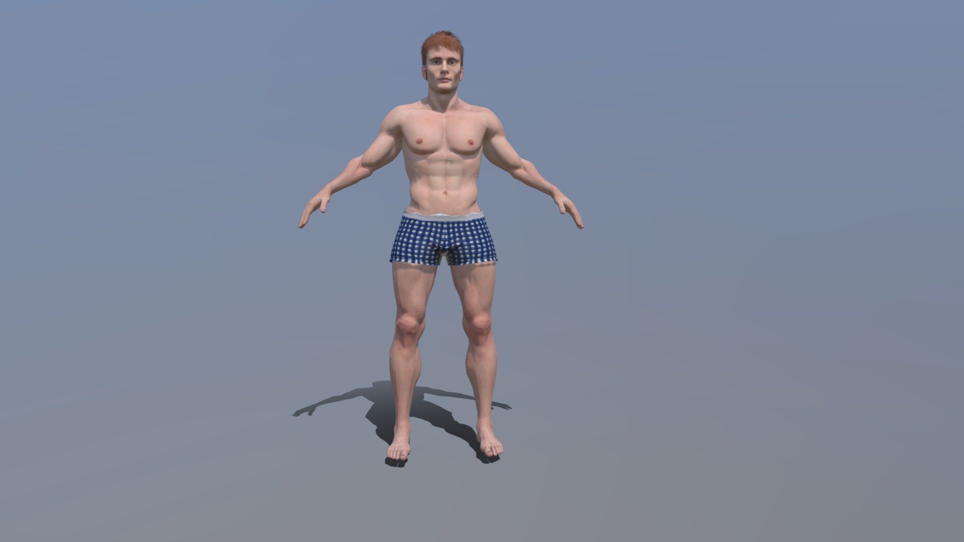 DAVID 3d model