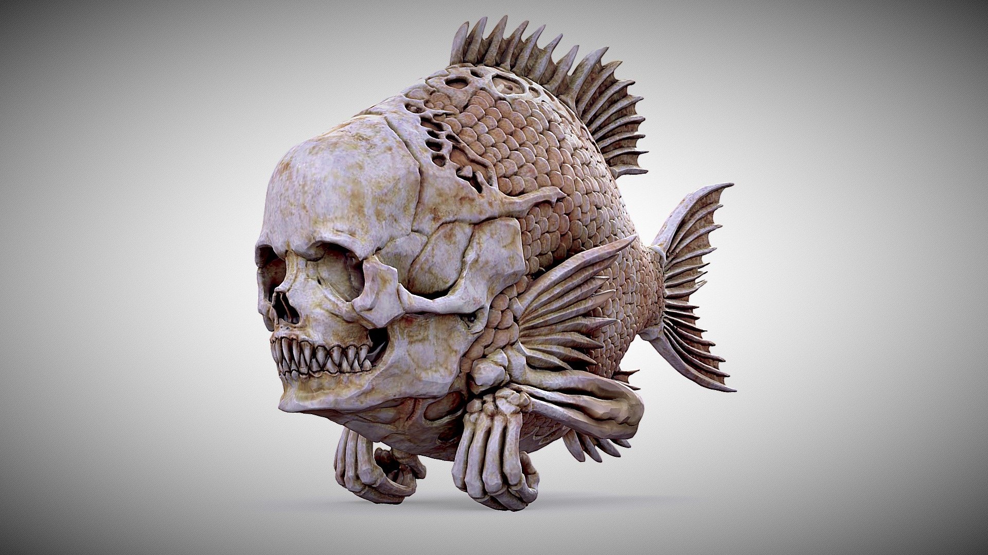 FISHHEAD 3d model