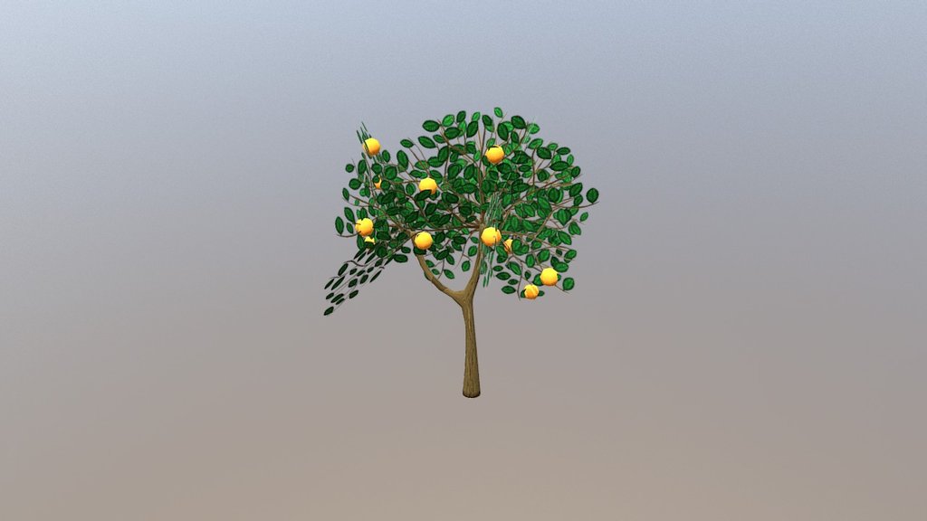 Orange Tree 3d model