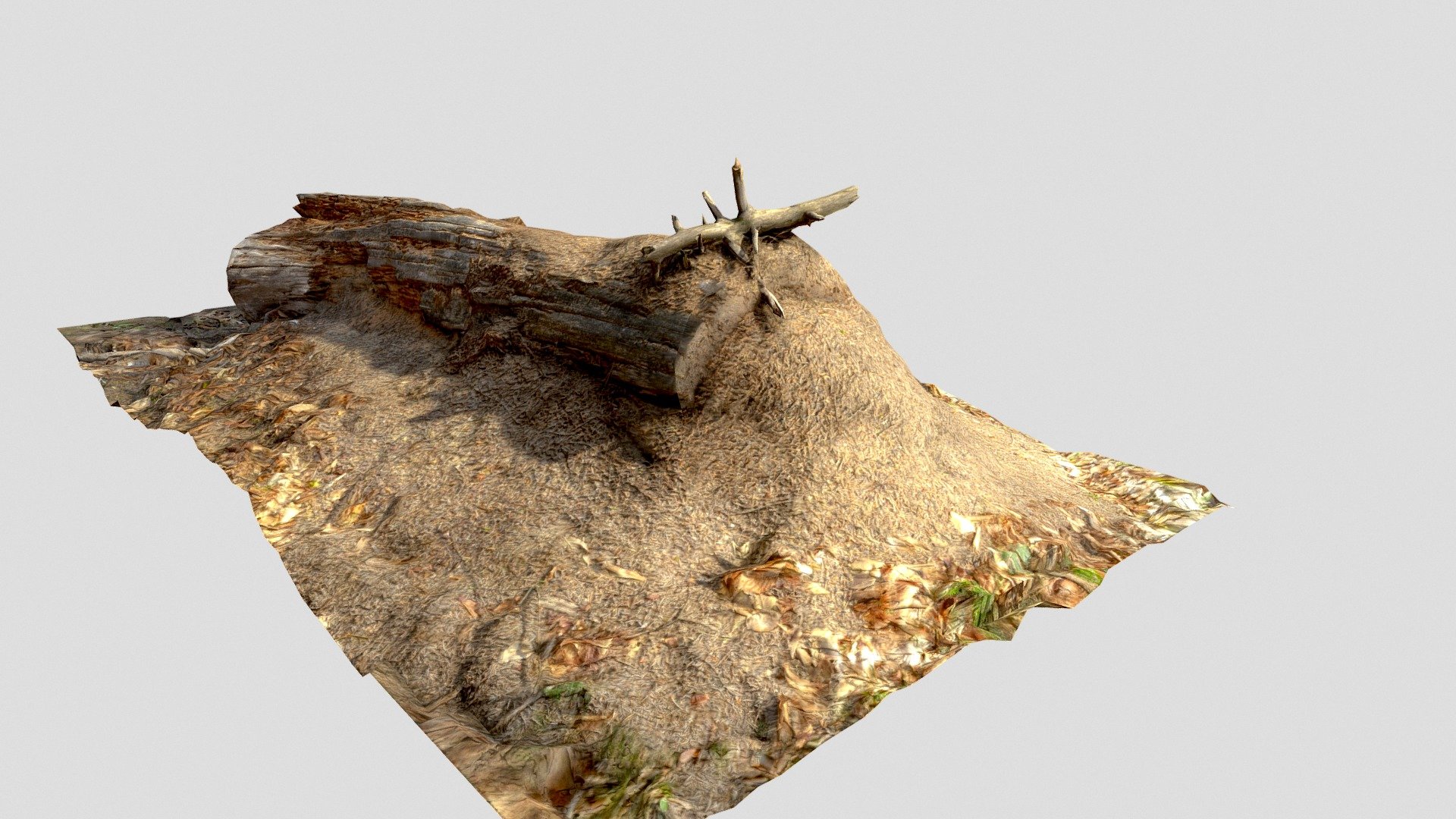 Ant Nest Log 3d model