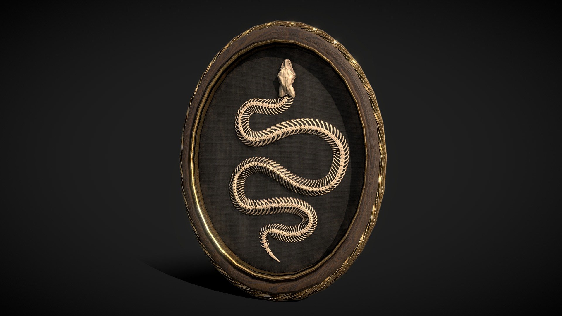 Framed Snake Skeleton / Horror Decor 3d model