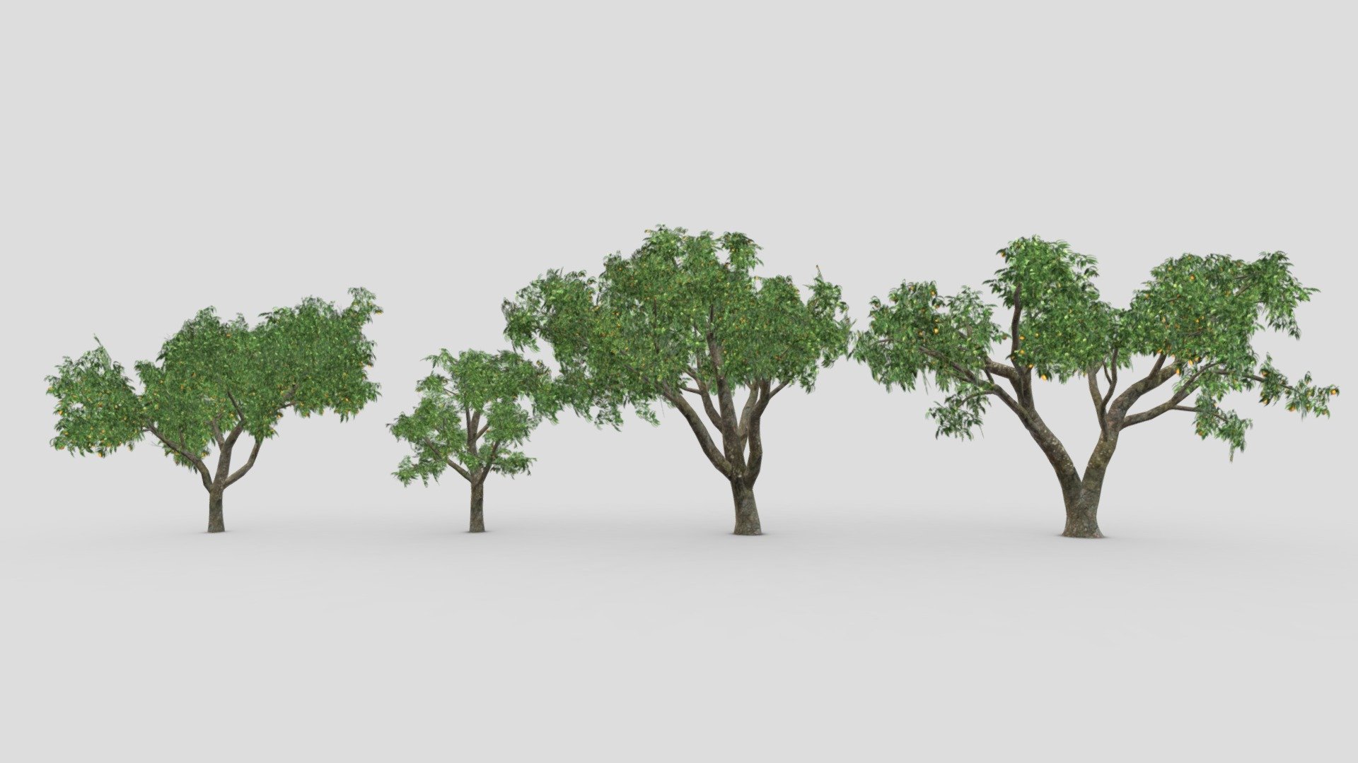 Orange Tree- Pack- 01 3d model