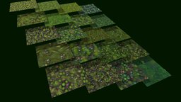 Grass Forest Floor 20 TEXTURES (Handpainted)