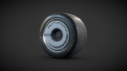 Pirelli Slick Tire