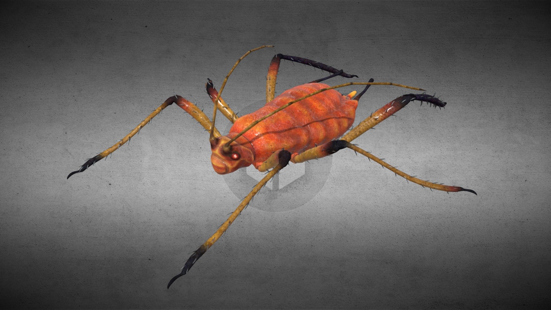 Aphids_HighPoly_SkectchFab 3d model