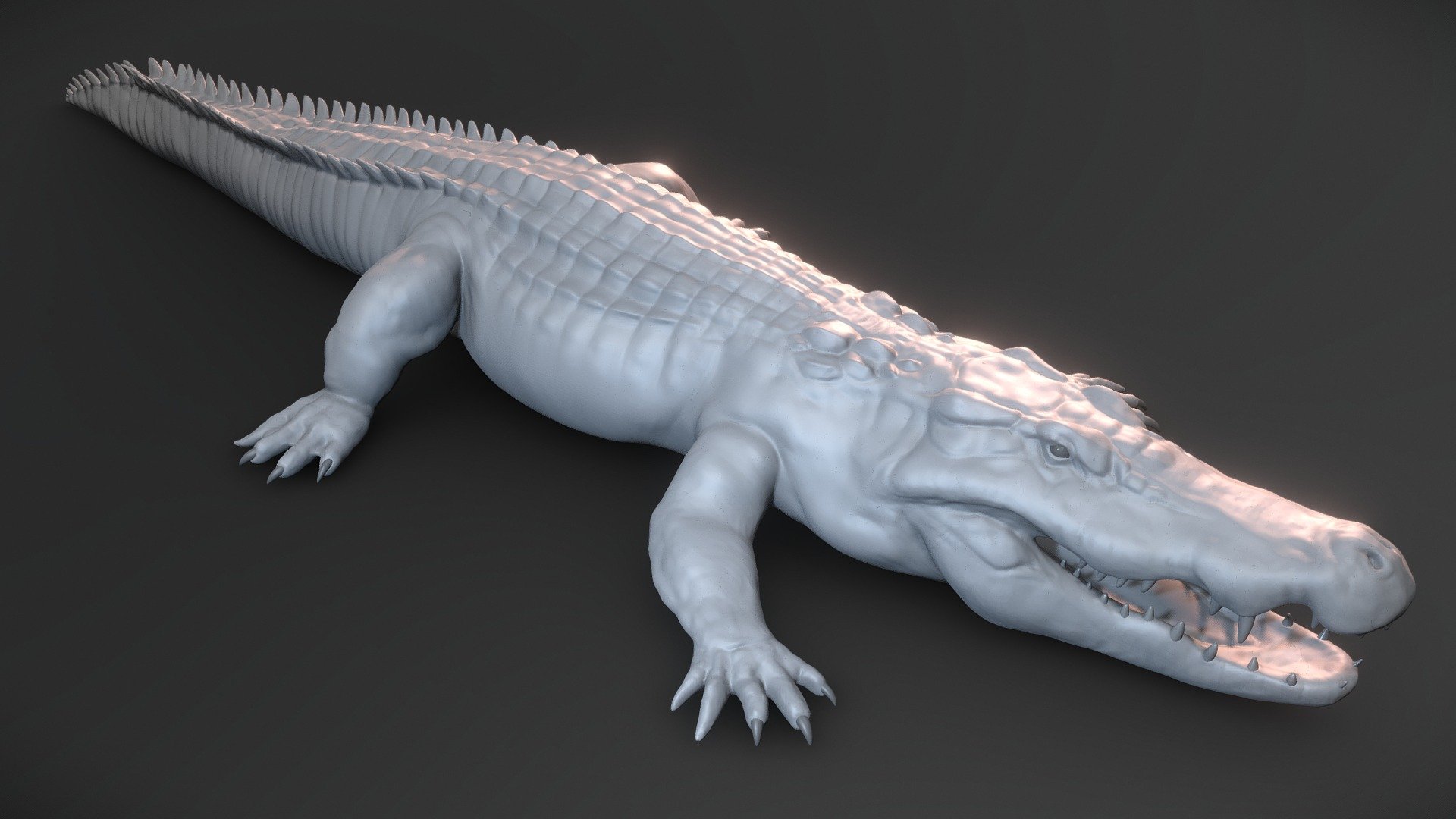 Crocodile basemesh 3d model