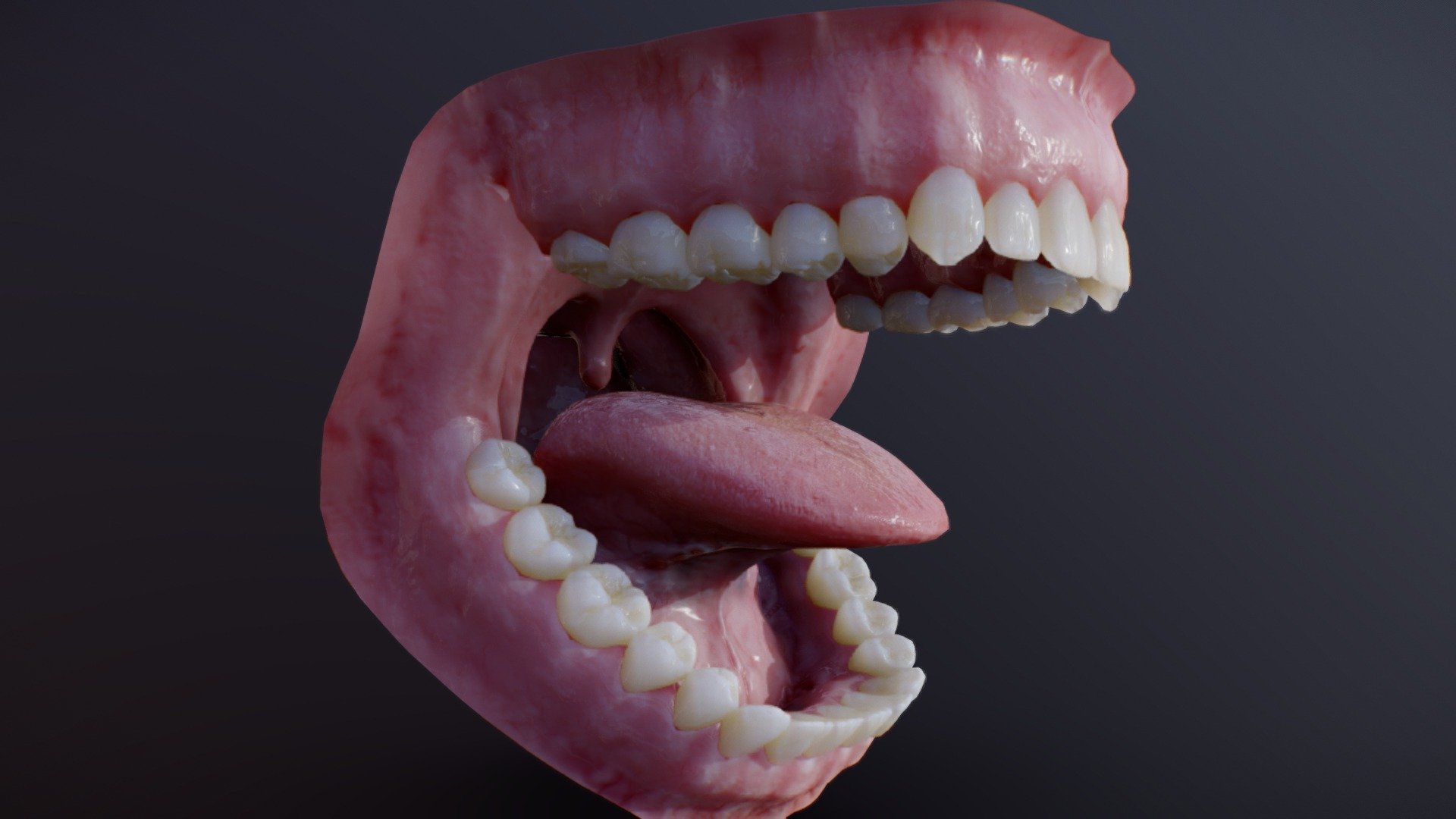 Photorealistic human mouth 3d model