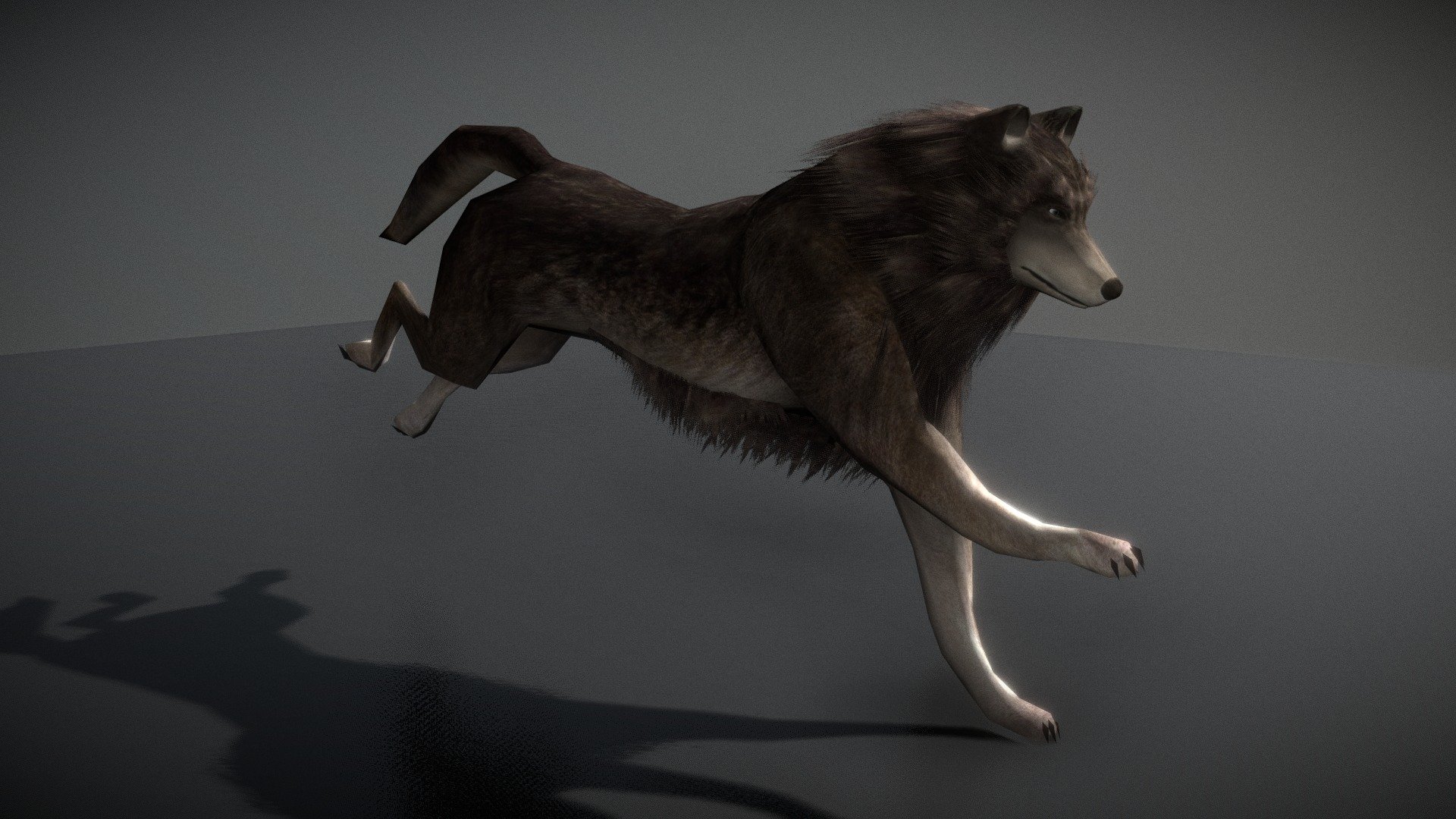 Wolf with Animations 3d model