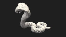 Snake cobra