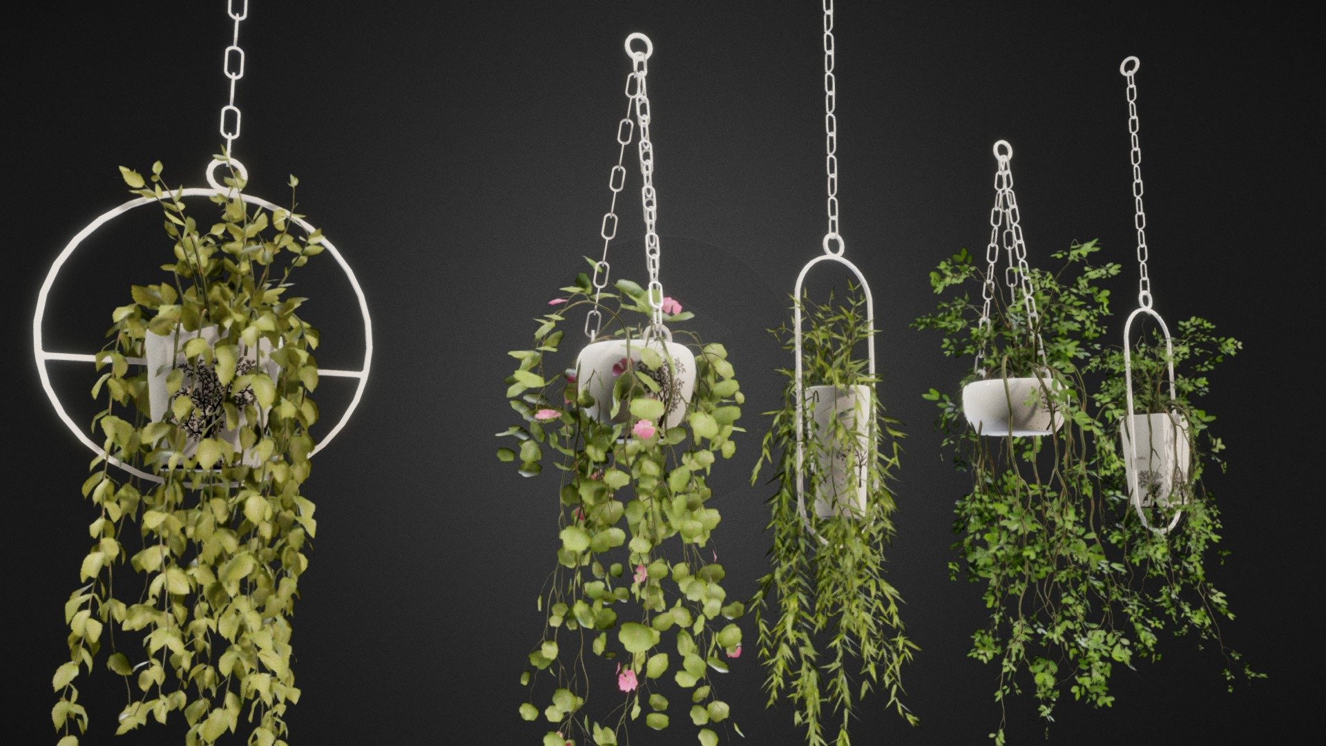 Hanging Pots with Plants/Vines 3d model