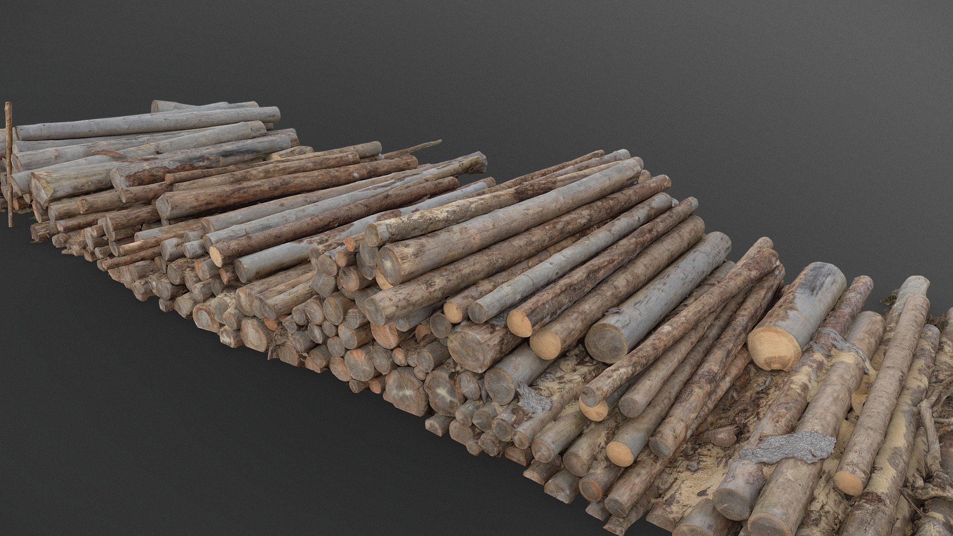 Felled trees pine logs stack heap in forest 3d model