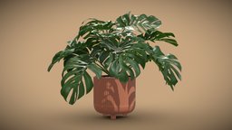 Design Pot Plant Monstera Deliciosa