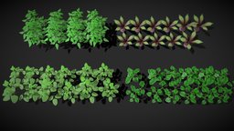 Low Poly vegetable plants