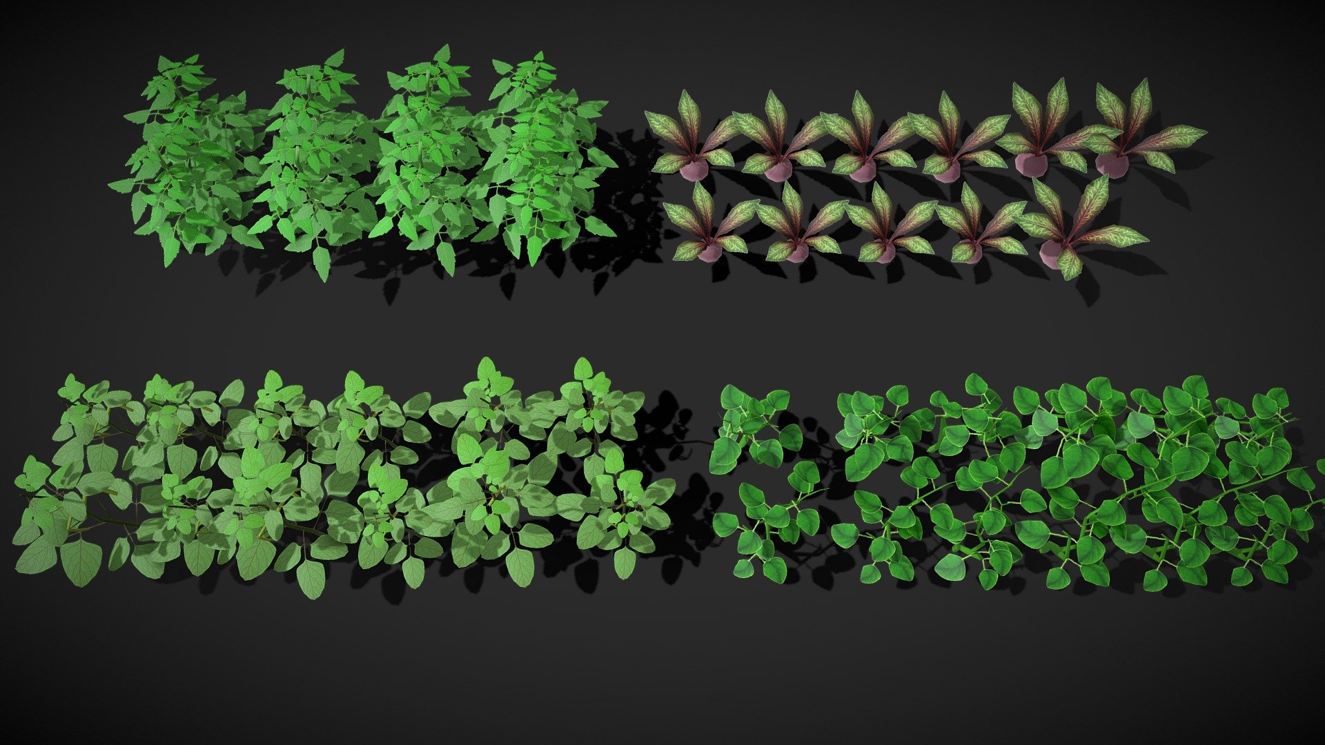 Low Poly vegetable plants 3d model