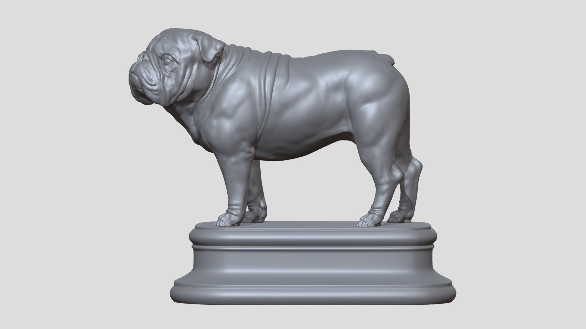 English  Bulldog 3d model