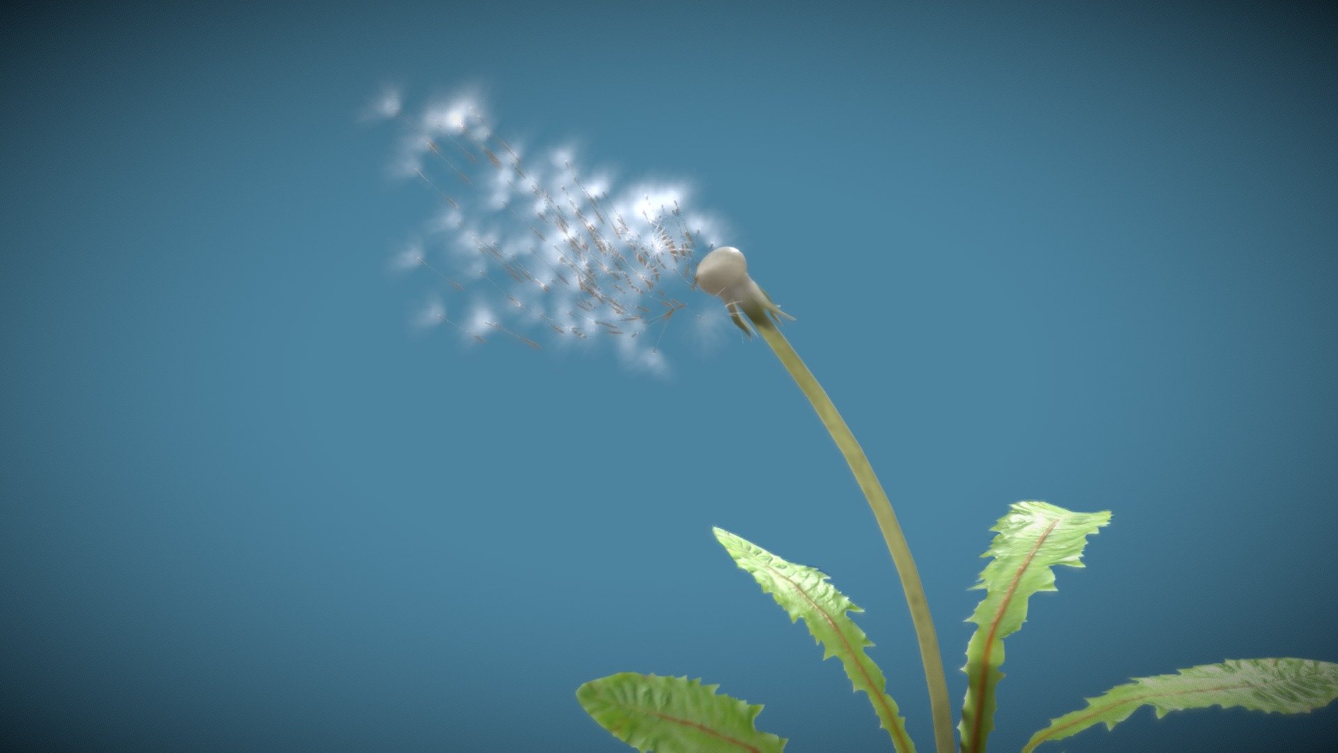 Dandelion in the Wind 3d model