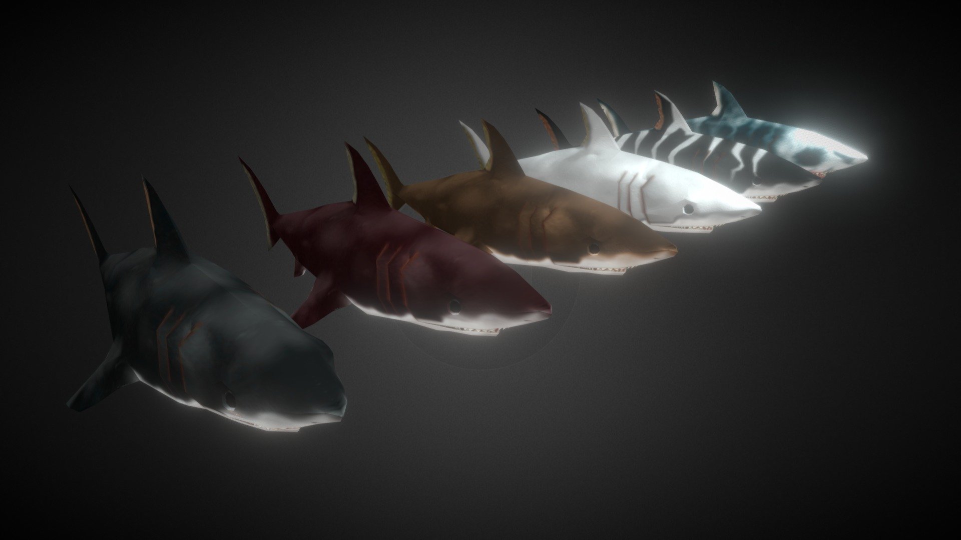 Tiburón 3d model