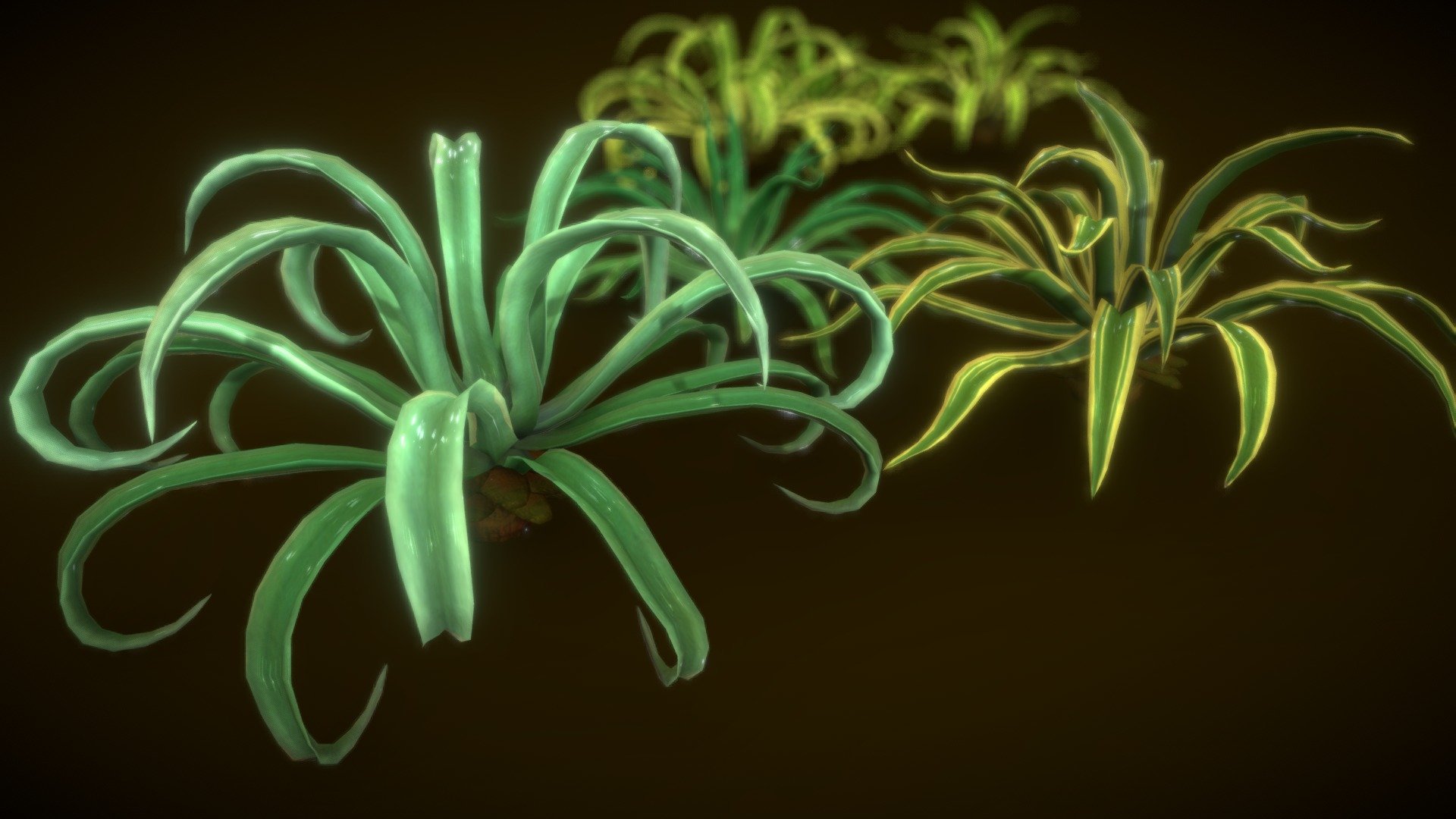 Tree Octopus Agave 3d model