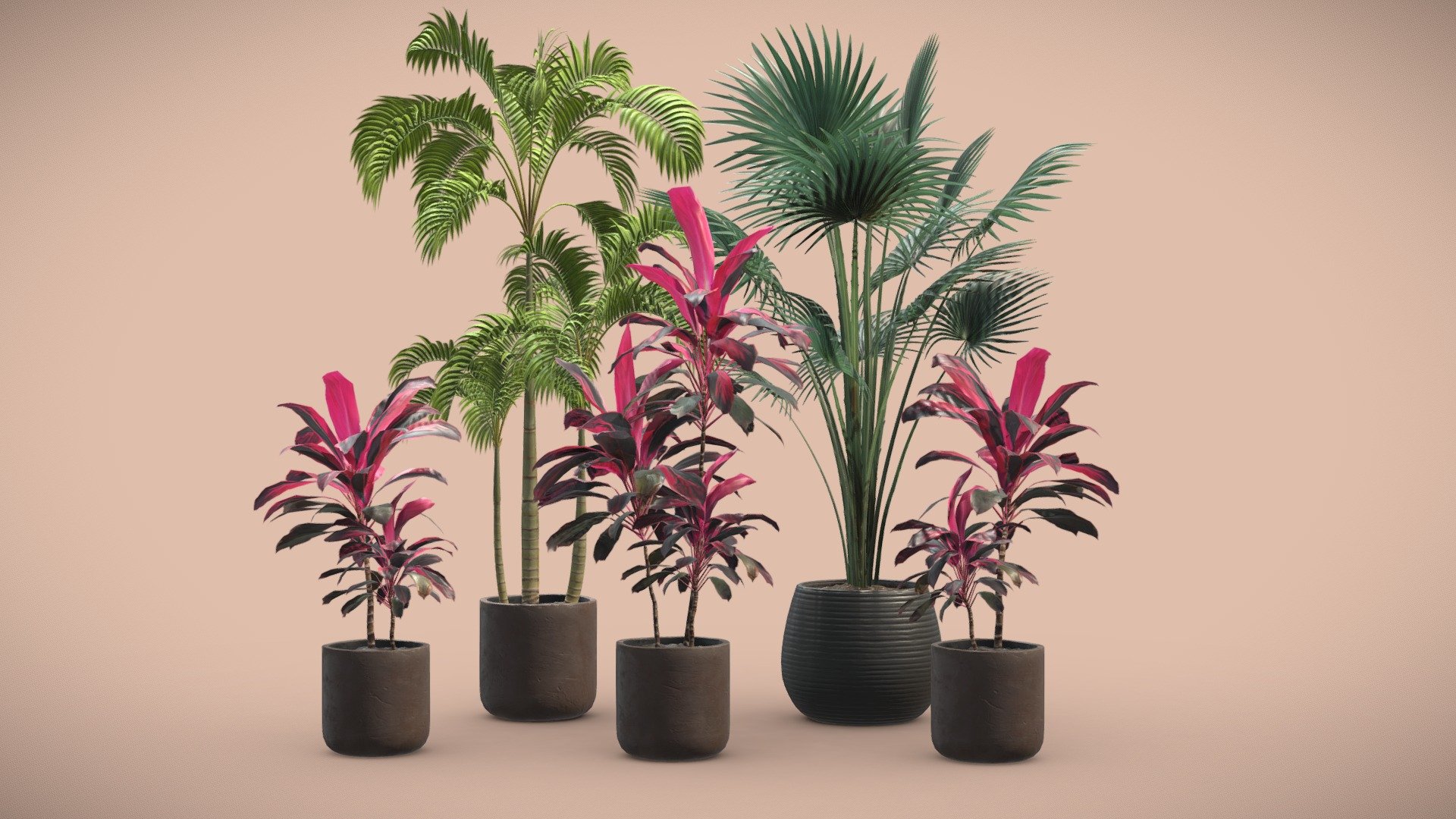 Indoor Plants Pack 12 3d model