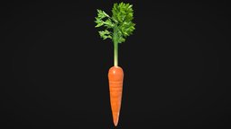 Carrot